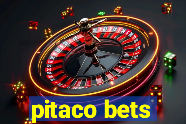 pitaco bets